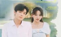 《再见爱人（81集）》精彩短剧流畅观看