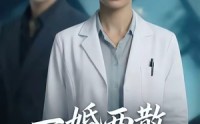 《一婚两散，此生不相逢（33集）》免费在线短剧全集速看