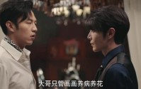 《她的伪装（24集）》独家短剧一次性看过瘾