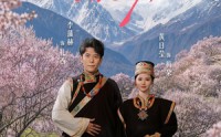 《去桃花盛开的地方2（16集）》精彩短剧完整版免费看