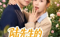 《陆先生的小福星不好惹（56集）》爆款短剧全集在线追