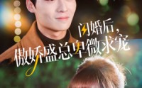 《闪婚后，傲娇盛总卑微求宠（100集）》百集短剧免费畅享