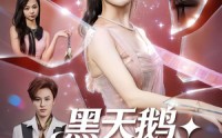 《黑天鹅诱捕计划（81集）》精彩短剧全集高清在线