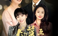 《风华正茂五十岁（70集）》热门短剧完整播放