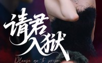 《请君入狱（31集）》高清短剧无删减观看