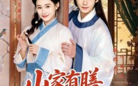 《山家有膳恰逢君（70集）》优质短剧免费在线品