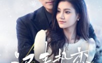 《迟来热恋（70集）》最新短剧全集速览
