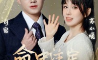 《命中注定遇见你（96集）》热门短剧全集免费看