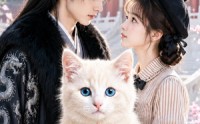 《团宠猫主子，全锦衣卫偷听我心声（60集）》超火短剧在线观看
