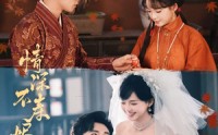 《情深不寿烬相思（60集）》短剧全集免费直追