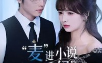 《麦进小说当后妈（5集）》短剧热门资源免费共享