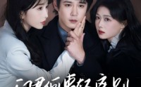 《问君何事轻离别（30集）》高分短剧在线无广告看