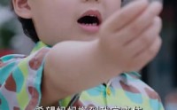 《南书知我意（80集）》短剧全集一键收藏观看