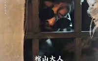 《守墓笔记：棺山重启（97集）》古墓短剧全集在线观看