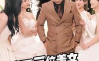 《完蛋三位美女上山来提亲（85集）》精彩短剧在线连播