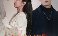 《历总，请签收你的龙凤胎（69集）》热门短剧高清完整版
