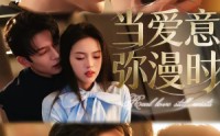 《当爱意弥漫时（80集）》超火短剧免费在线观看
