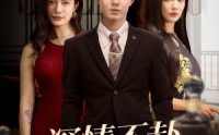 《深情不赴旧约（50集）》热门短剧每日更新中