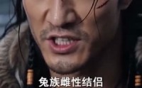 《兽世蟒尊：独宠异世少女（60集）》热门短剧在线高清观看