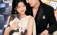 《已婚人设崩塌了（53集）》精彩短剧在线高清观看