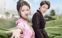 《月下独占你的光（67集）》高清短剧全集免费观赏
