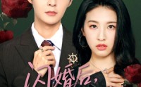 《闪婚后陆总又争又抢（83集）》超火短剧在线畅快追