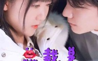 《总裁是闪婚老公（21集）》流畅短剧全集在线欣赏