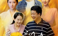 《再回首闪婚之仍是心尖宠（36集）》唯美短剧全集不容错过