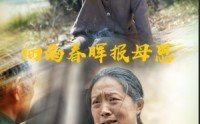 《细雨春晖报母恩（30集）》催泪短剧全集免费看