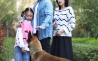 《养狗应有道（60集）》短剧全集免费观看完整版资源