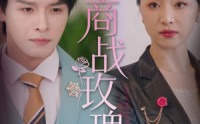 《商战玫瑰（30集）》精彩短剧免费追剧
