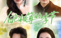 《白色相簿的季节（56集）》热门短剧无删减在线赏