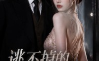 《逃不掉的沈先生（41集）》免费短剧全集随时观看