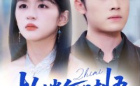 《执迷何时悟＆你铁心恋爱脑，给你自由你又哭（72集）》短剧免费全集尽情赏