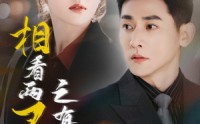 《相看两不厌之有点坏（70集）》热门短剧免费全集直看