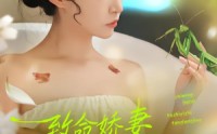 《致命娇妻：她是一只螳螂精（51集）》短剧全集高清免费看