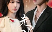《走火入爱（62集）》热门短剧免费高清点播