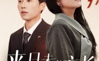 《来日未必方长（29集）》精彩短剧一追到底