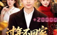 《过年不回家，我和校花赚翻天（80集）》免费短剧全集流畅在线看