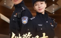《铁警日志（63集）》短剧全集在线免费赏