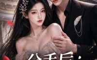 《分手后男频女频大乱斗（82集）》热门短剧完整版在线