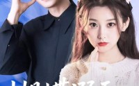 《蝴蝶溺于谎言之海（50集）》热门短剧在线高清播放