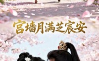 《宫墙月满芝宸安（51集）》短剧全集在线流畅播放