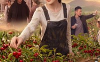 《不分钱，我逆袭成樱桃女王（40集）》短剧全集免费在线追更
