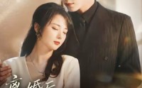 《离婚后，厉先生急得团团转（82集）》热门短剧免费看全集