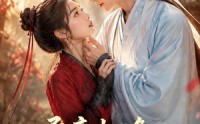 《柔意相逢：铁血倾心（101集）》优质短剧在线畅看