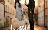 《小狗不会冬眠（70集）》超火短剧全集免费点播