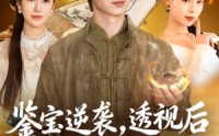 《鉴宝逆袭，透视后我靠捡漏赢麻了（80集）》短剧全集畅享在线看