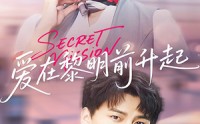 《爱在黎明前升起（68集）》热门短剧全剧集免费播