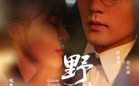 《野芳菲（60集）》短剧全集高清免费阅